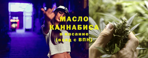 индика Переславль-Залесский