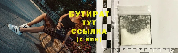 прущие грибы Пестово