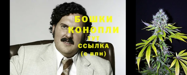 прущие грибы Пестово