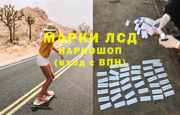 прущие грибы Пестово