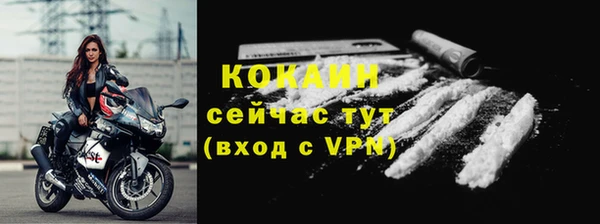 прущие грибы Пестово