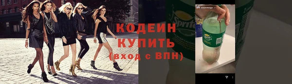 индика Переславль-Залесский