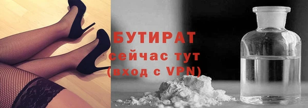 прущие грибы Пестово