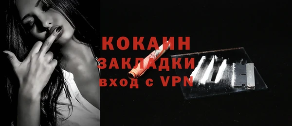 прущие грибы Пестово