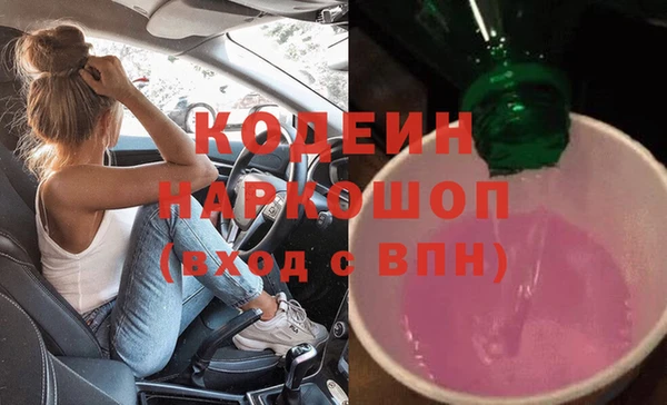 индика Переславль-Залесский