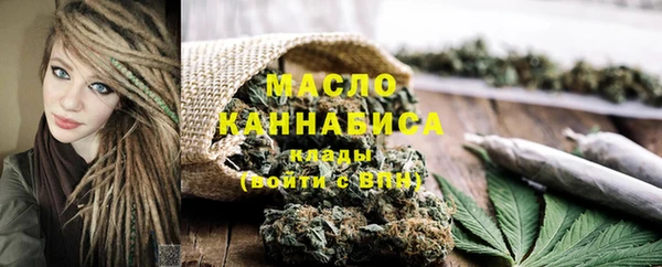 индика Переславль-Залесский
