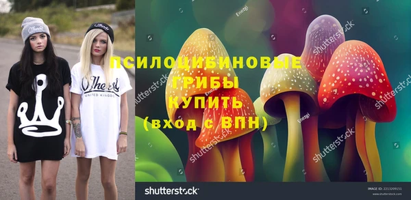 прущие грибы Пестово