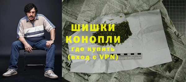 индика Переславль-Залесский