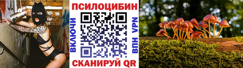 Галлюциногенные грибы Psilocybine cubensis  купить  сайты  Стрежевой 
